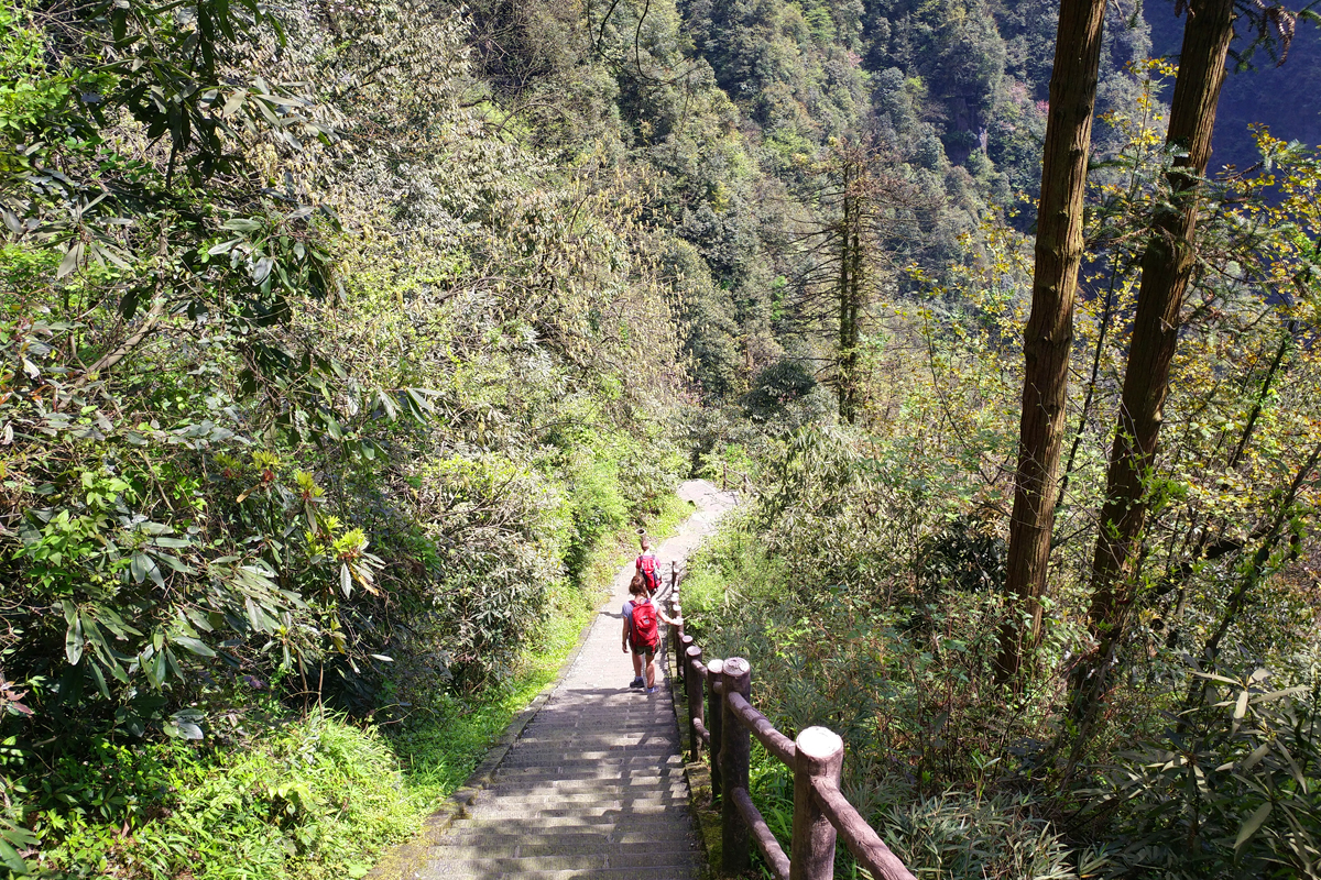 Mount Emei Hiking