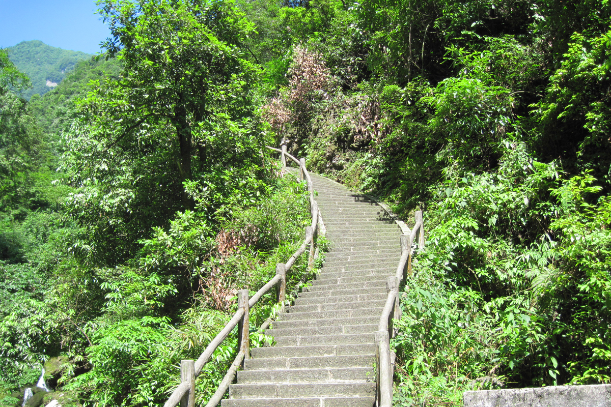 Mount Emei Hiking Trail