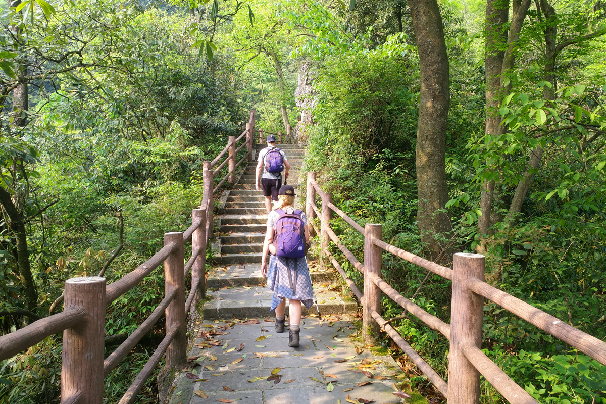 Mount Emei Hiking