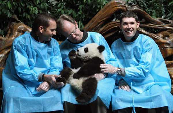 Sichuan Panda Tours