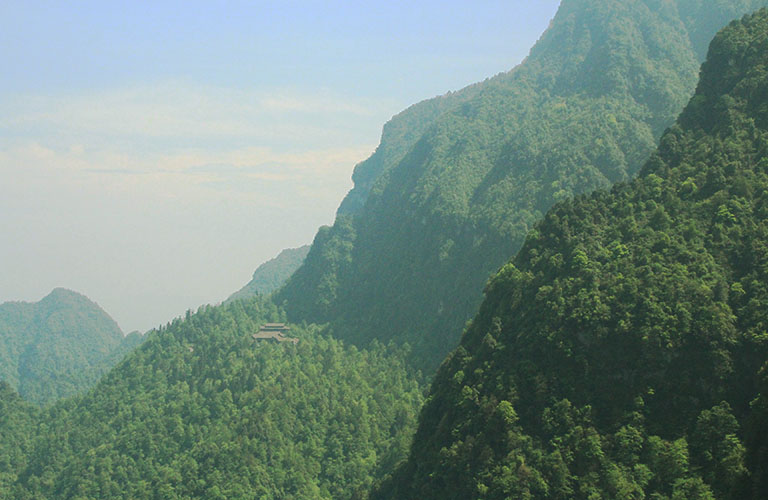 Mount Emei Hiking Tour