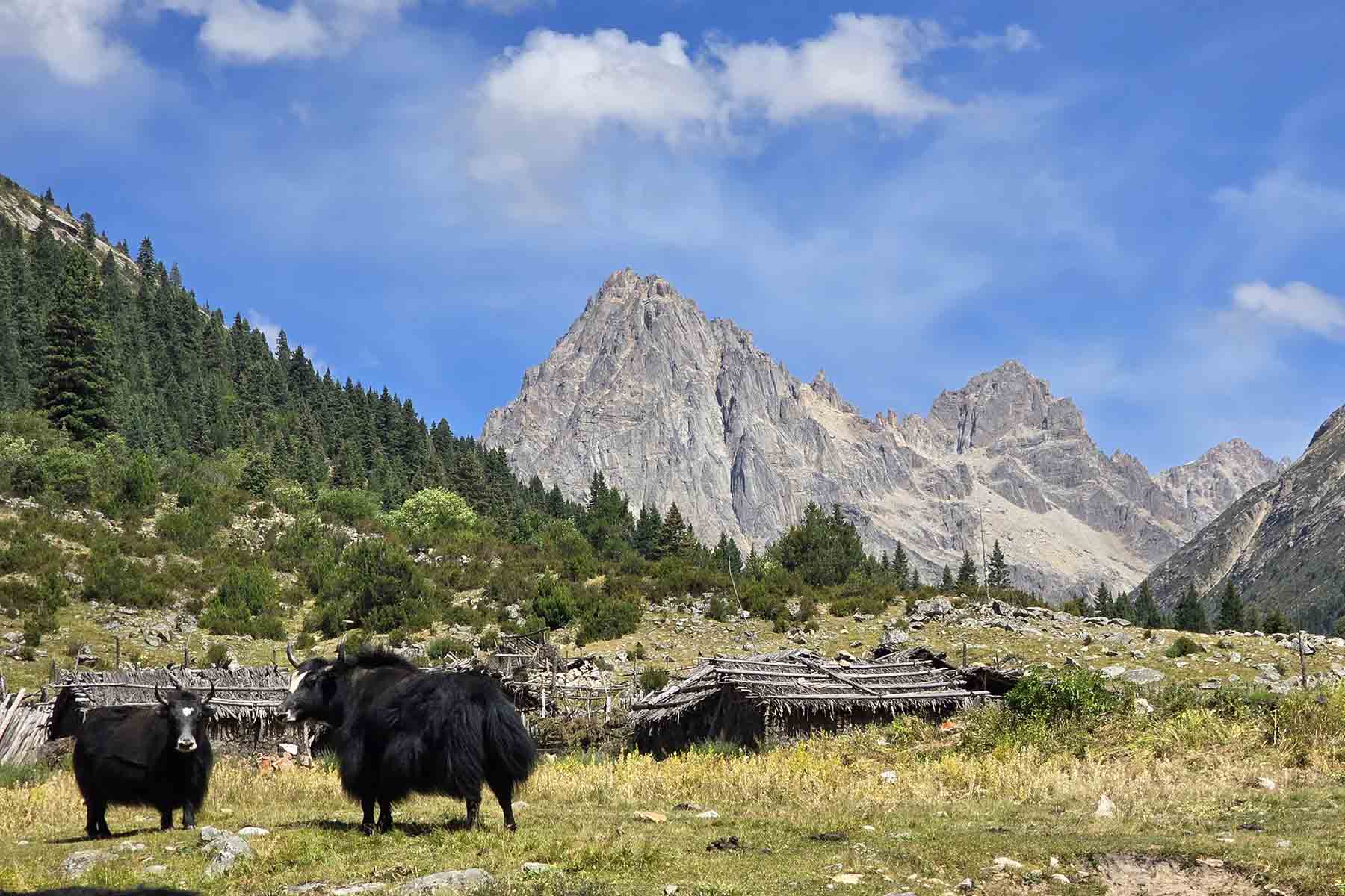 Dopu Valley