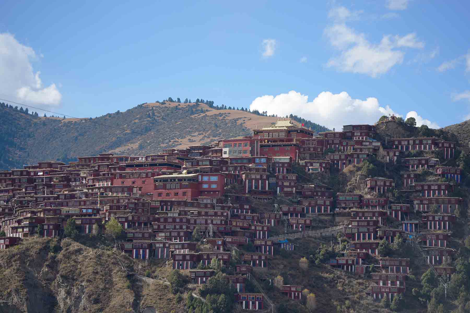 Dzongsar Monastery