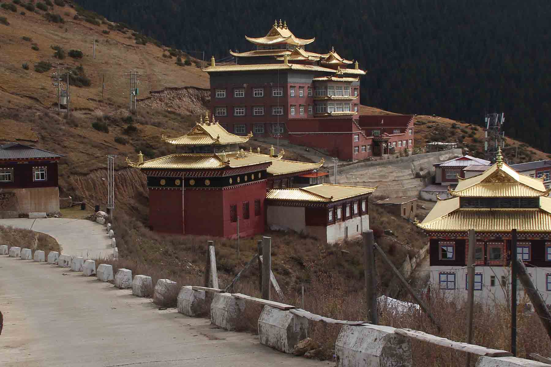 >Palpung Monastery