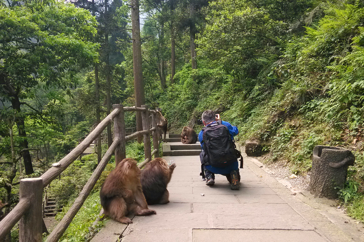 Mount Emei Hiking