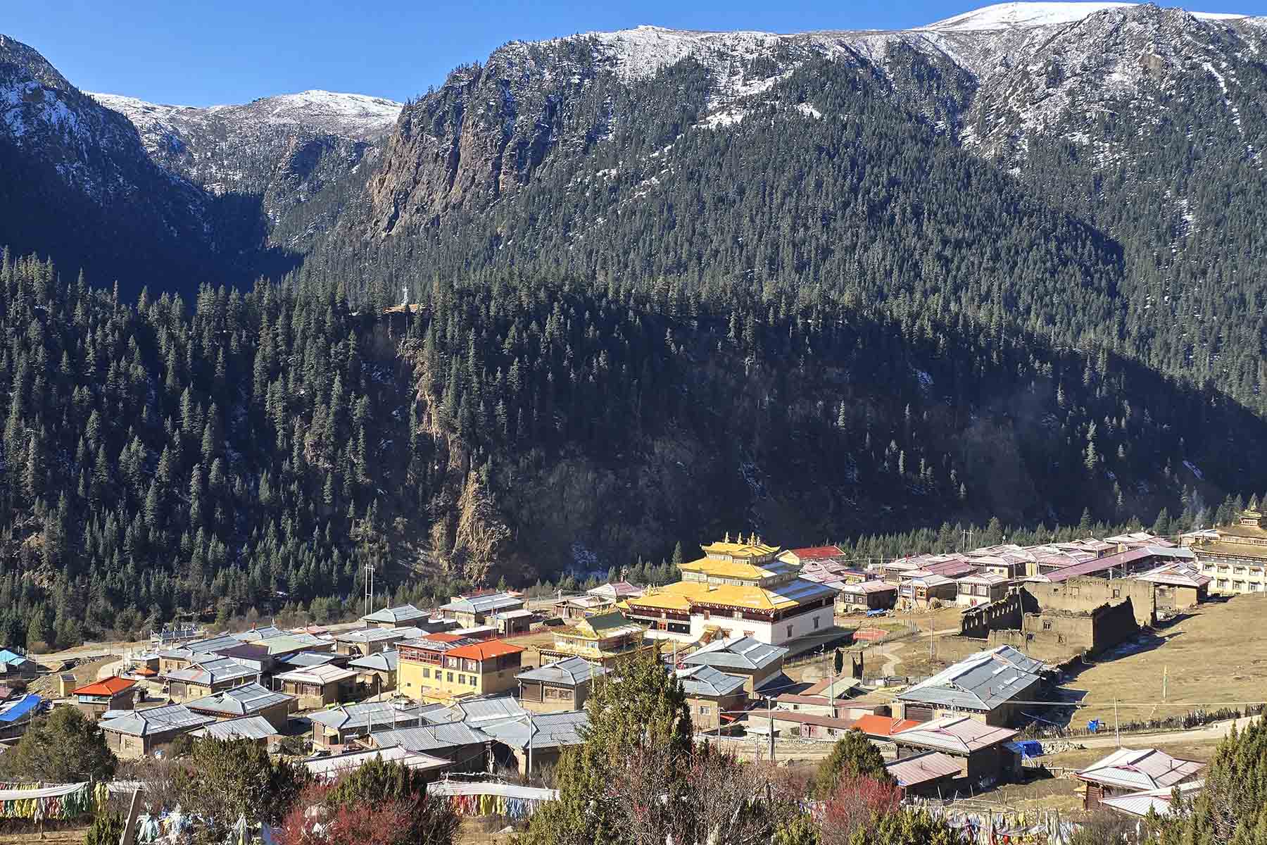 Ganzi