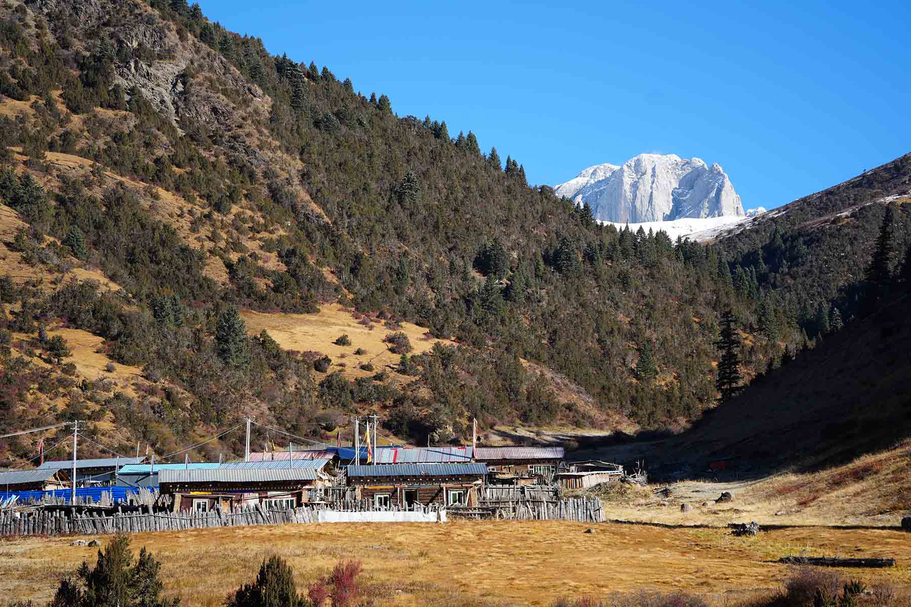Ganzi