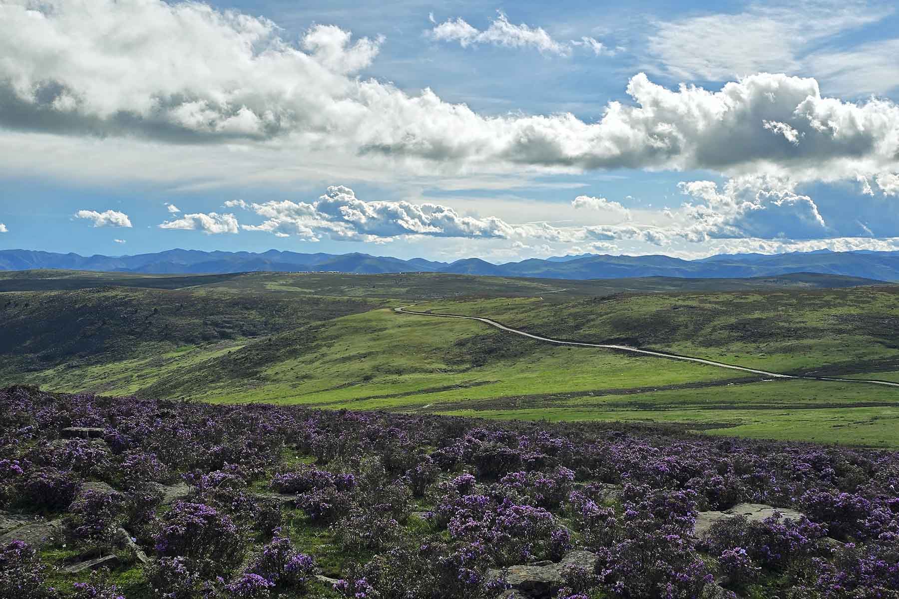 Minya Konka Photography