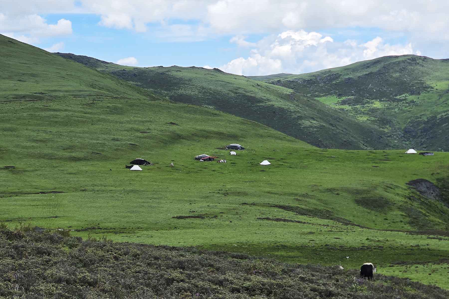 Minya Konka & Tagong Photography