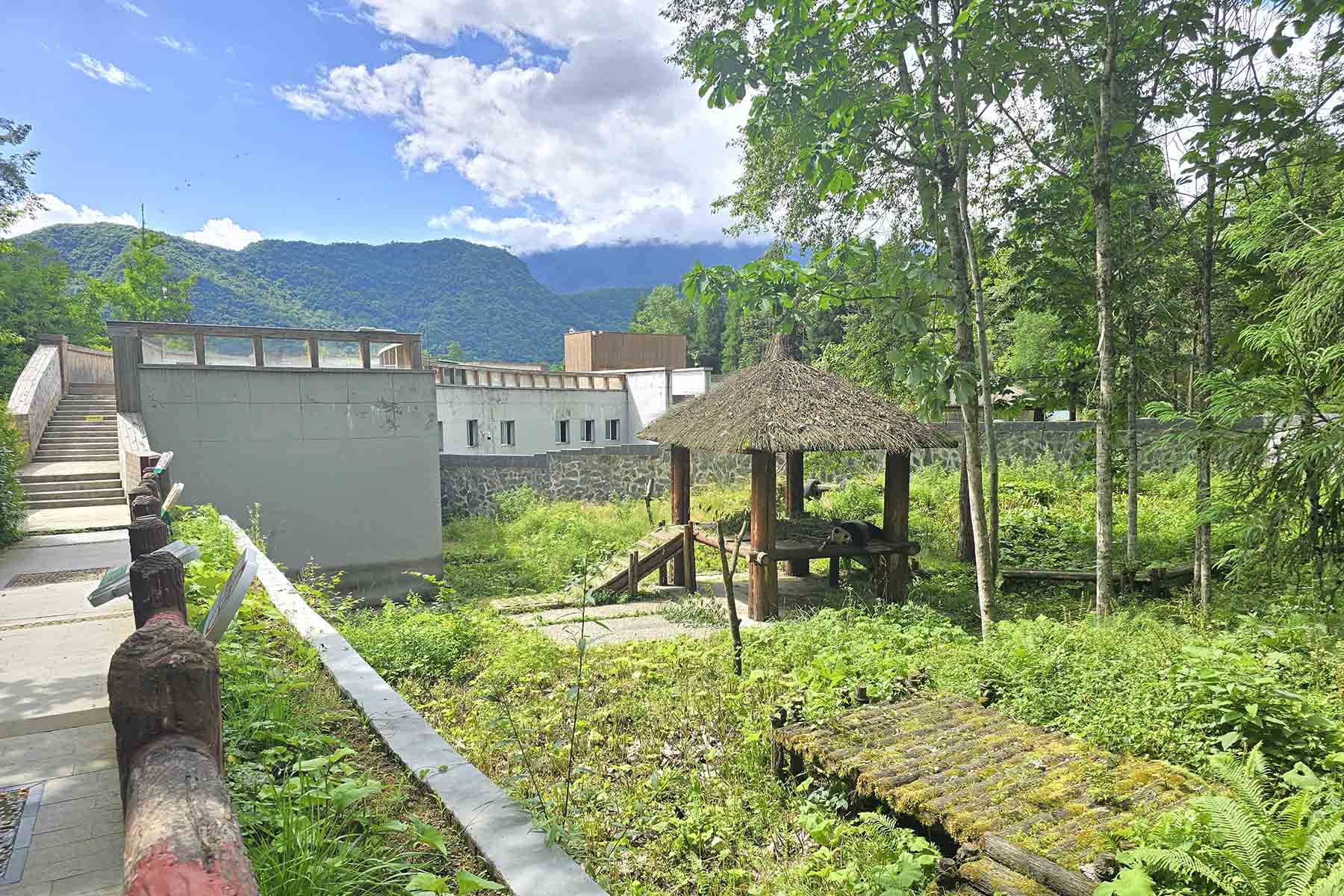 Baoxing Dengchigou Panda Base