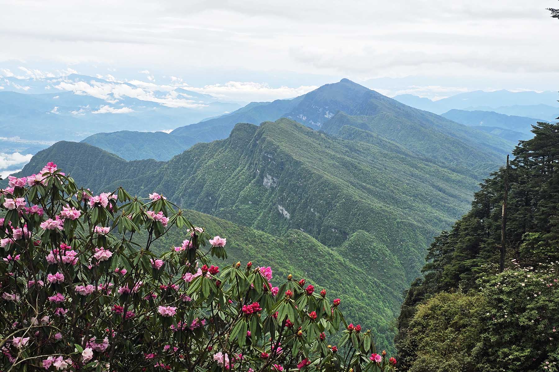Mt. Wawu