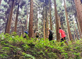 Chengdu Hiking