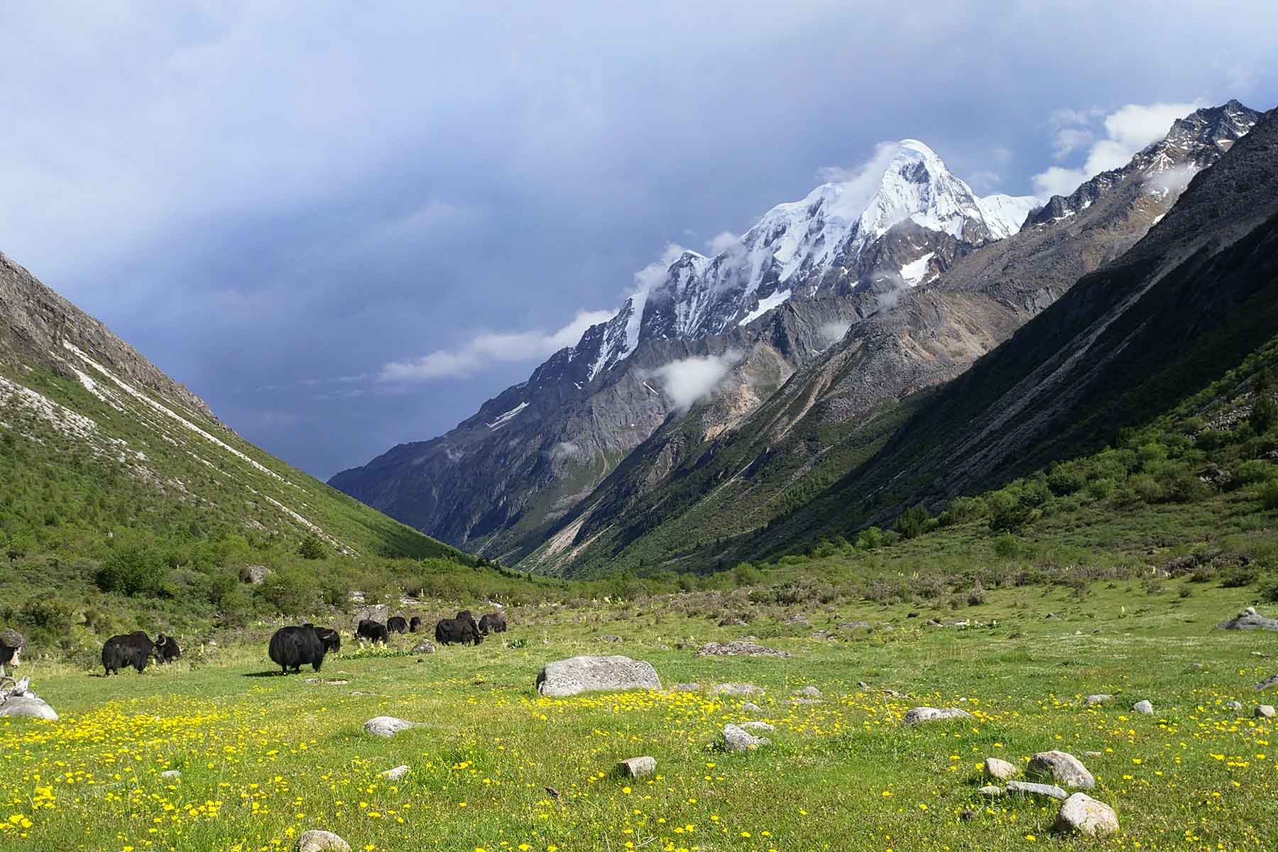 Sichuan Travel Guide