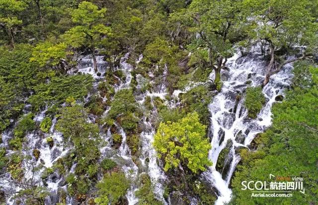 Jiuzhaigou Earthquake News