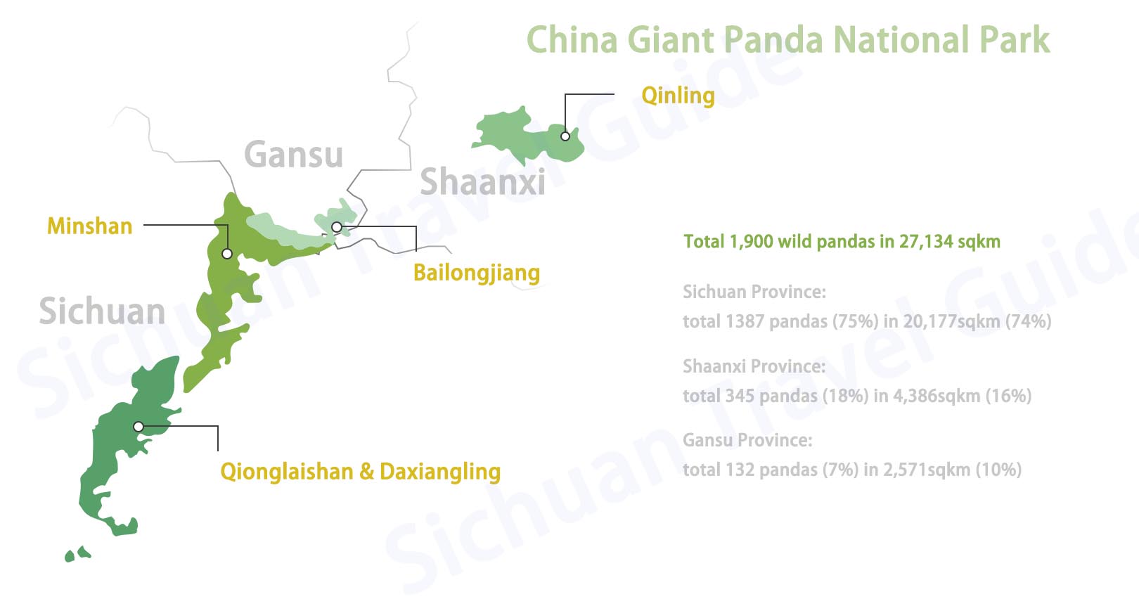 Wild Panda Trips
