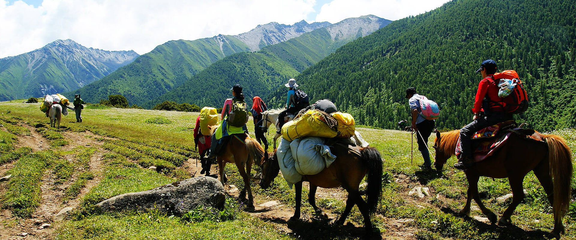Sichuan Self Guided Tours