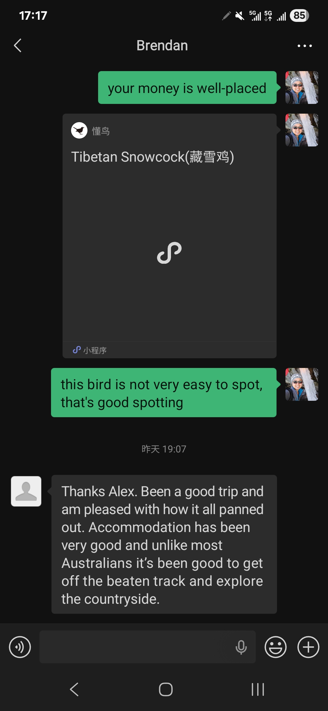 STG service feedback