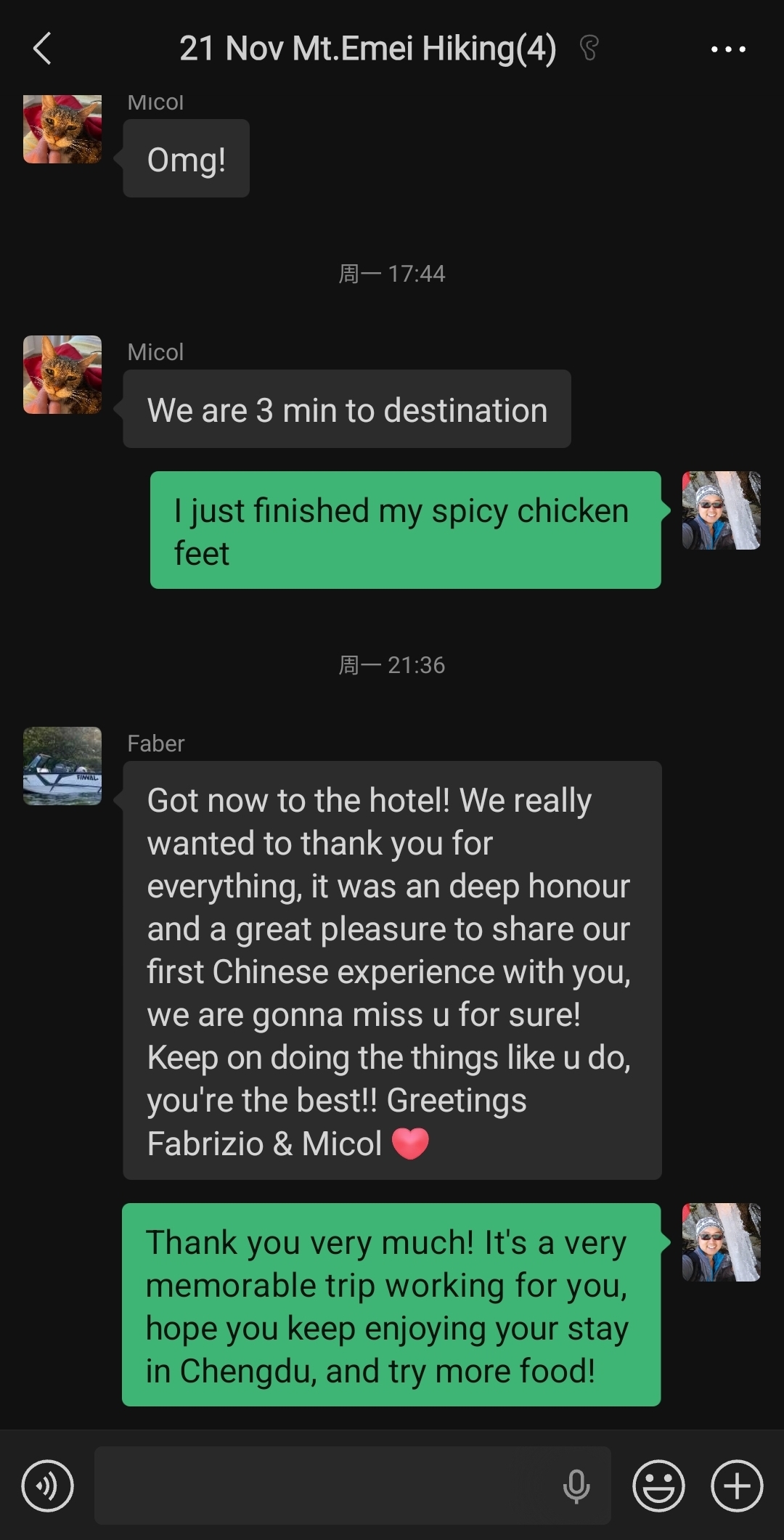 STG service feedback