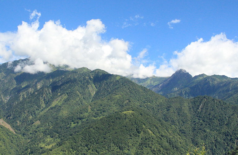 Chengdu Day Hike