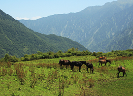 Chengdu Hiking