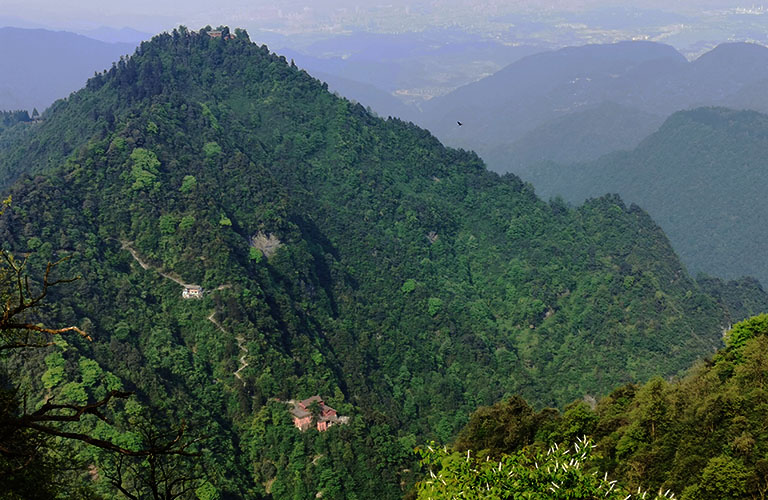 Mount Emei Hiking Tour