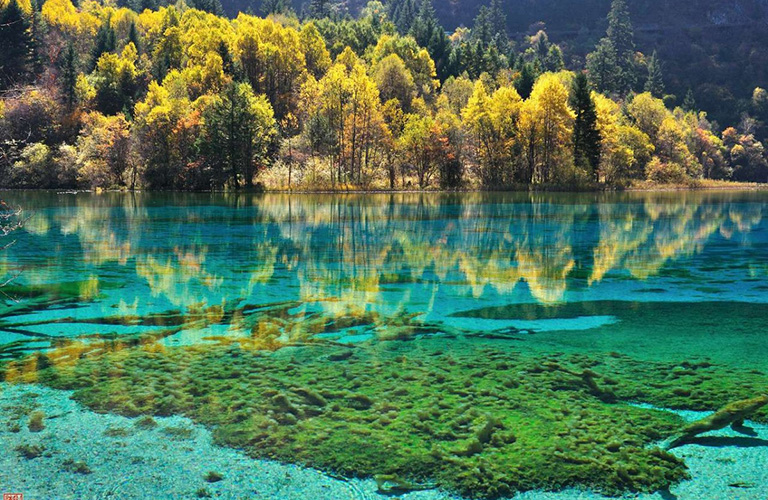 Jiuzhaigou Tours 2024&2025