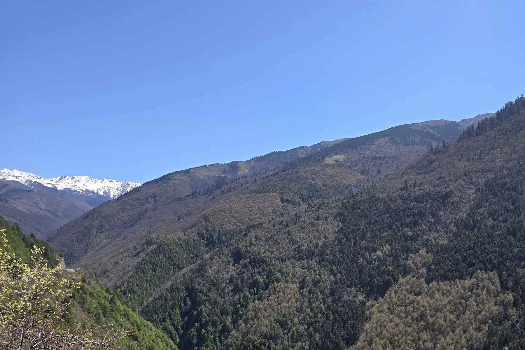 Sichuan Tour