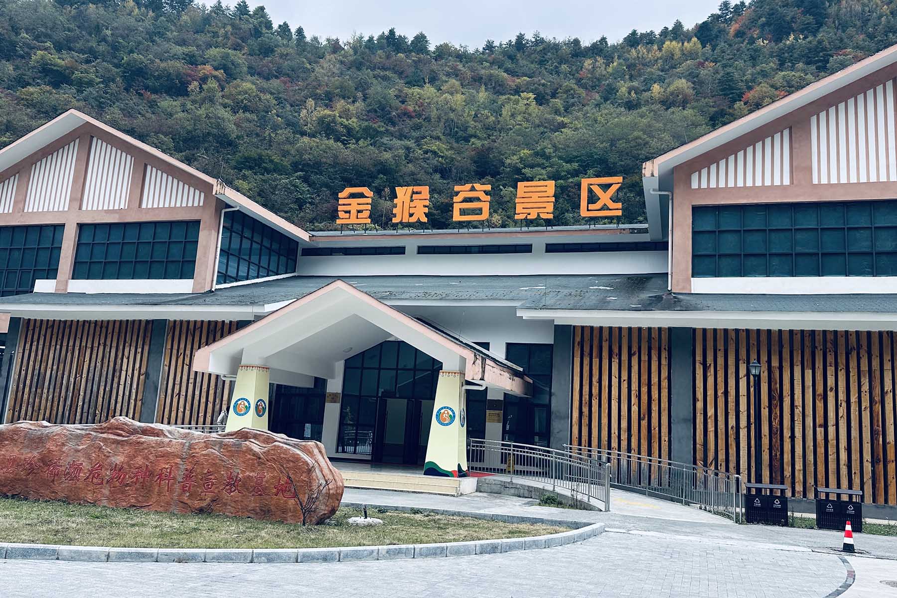 Golden Snub-nose Monkey