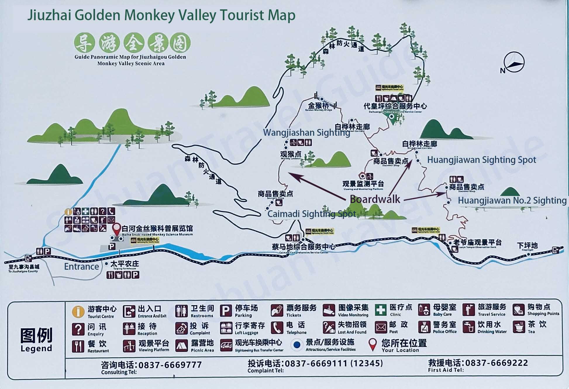 Golden Snub-nose Monkey