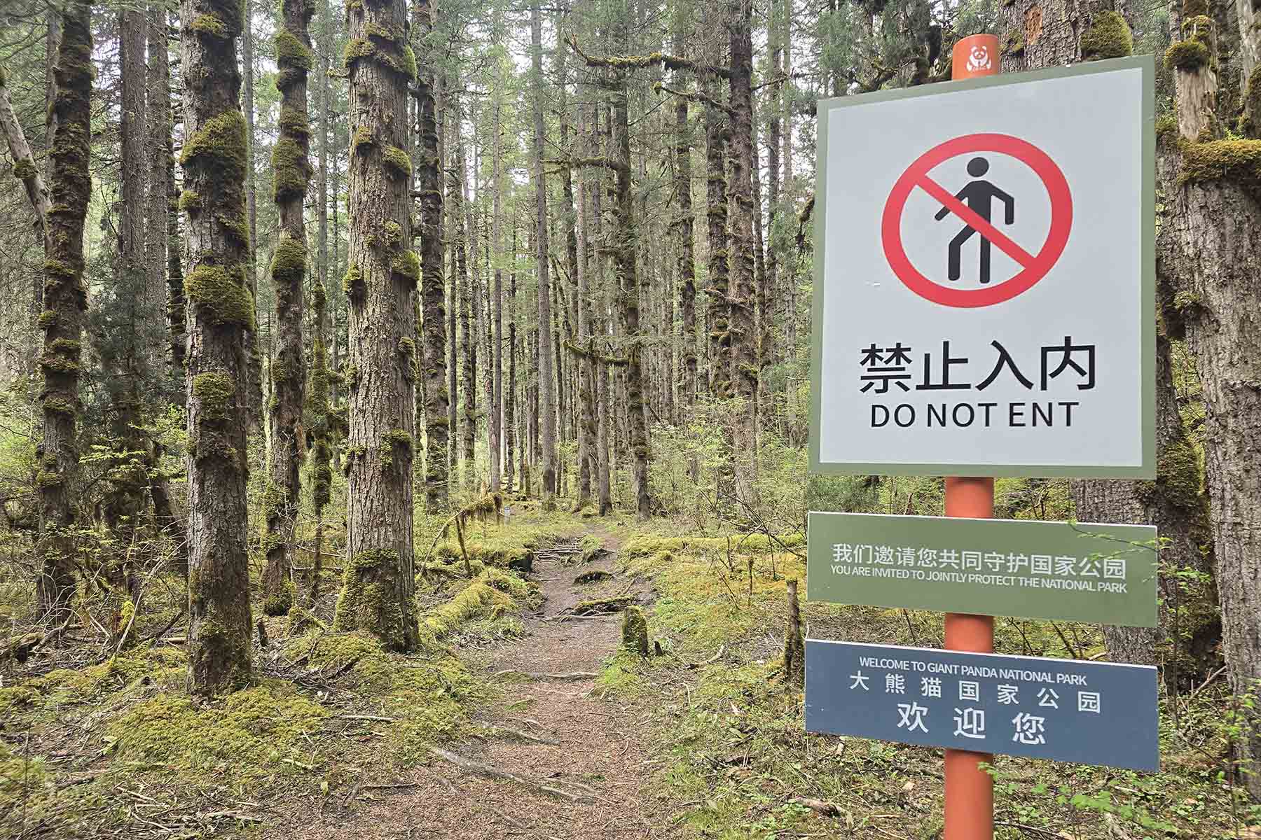 Wanglang