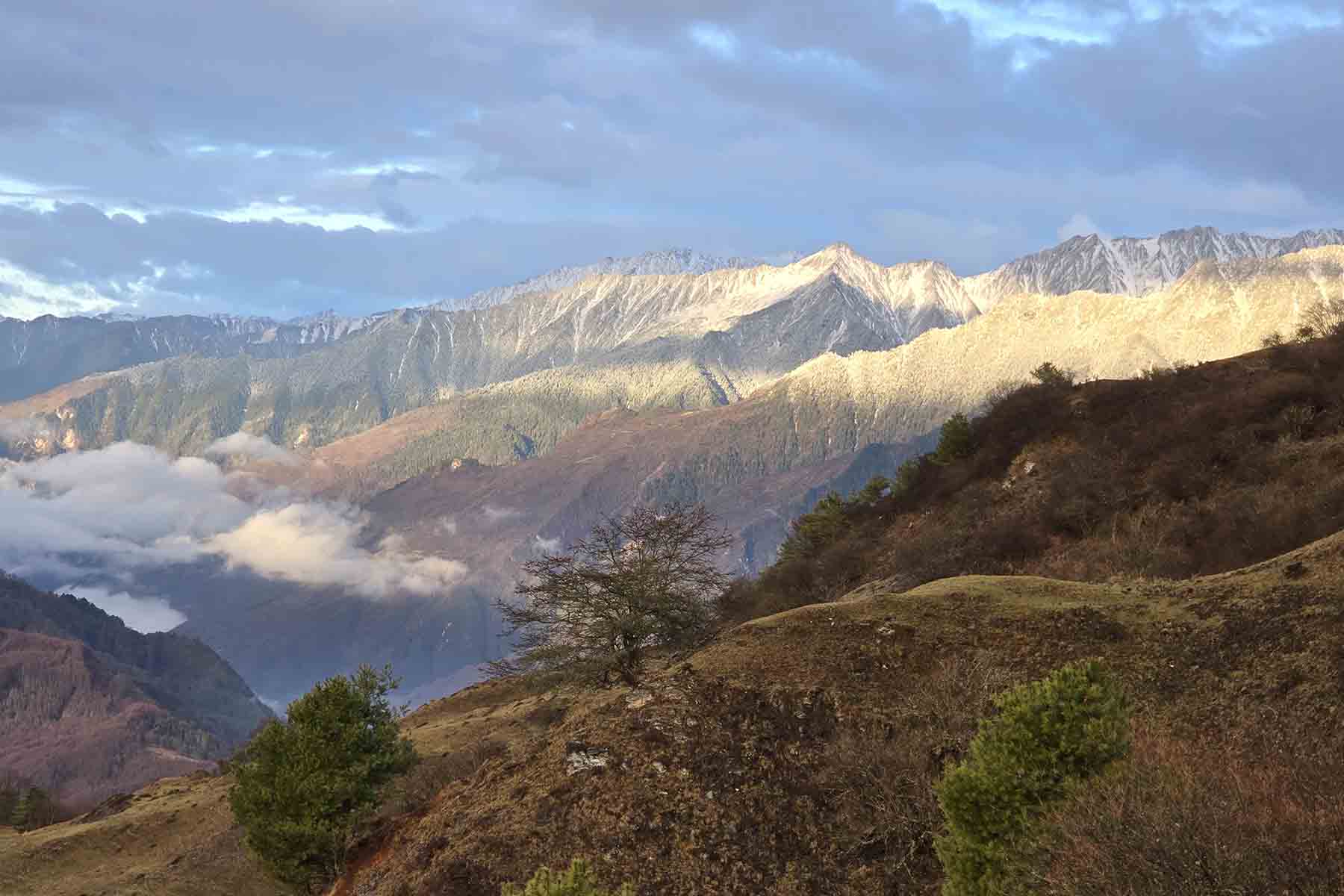 Wolong Nature Reserve