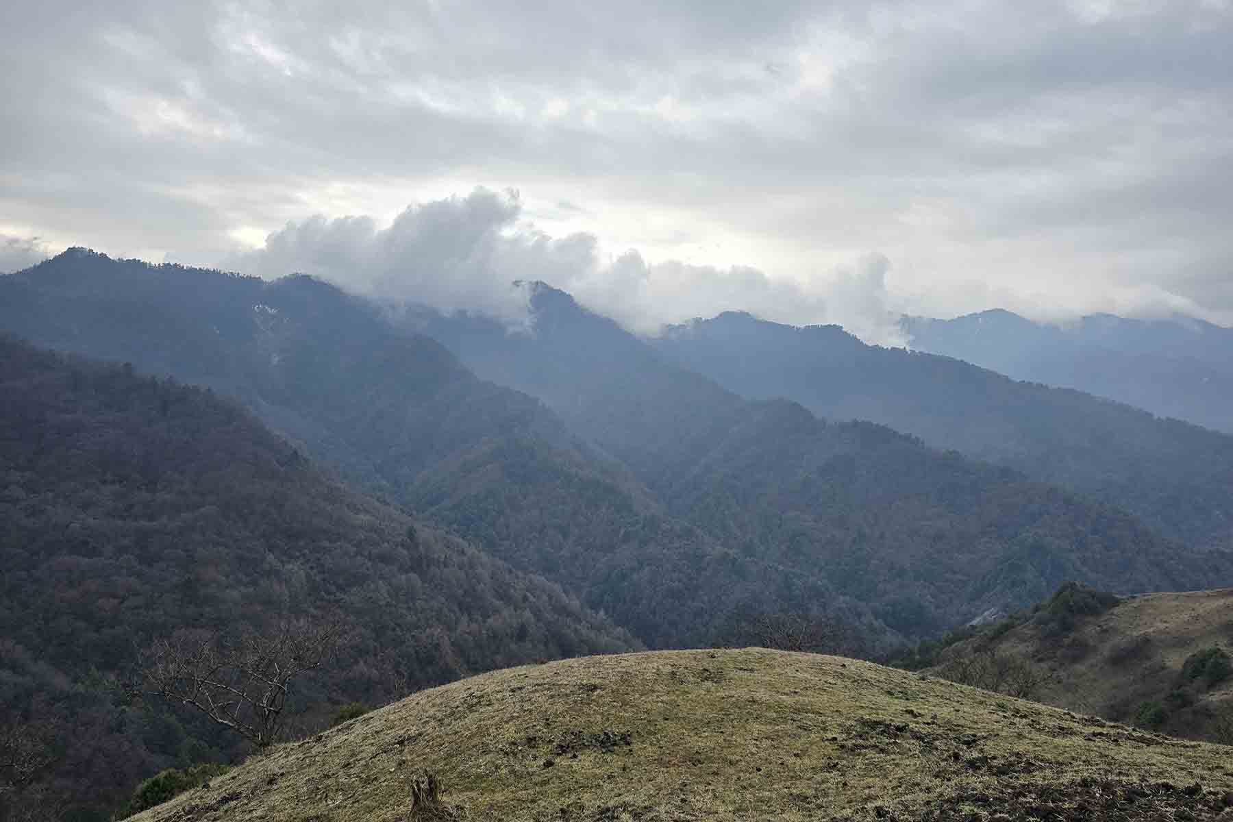Wolong Nature Reserve