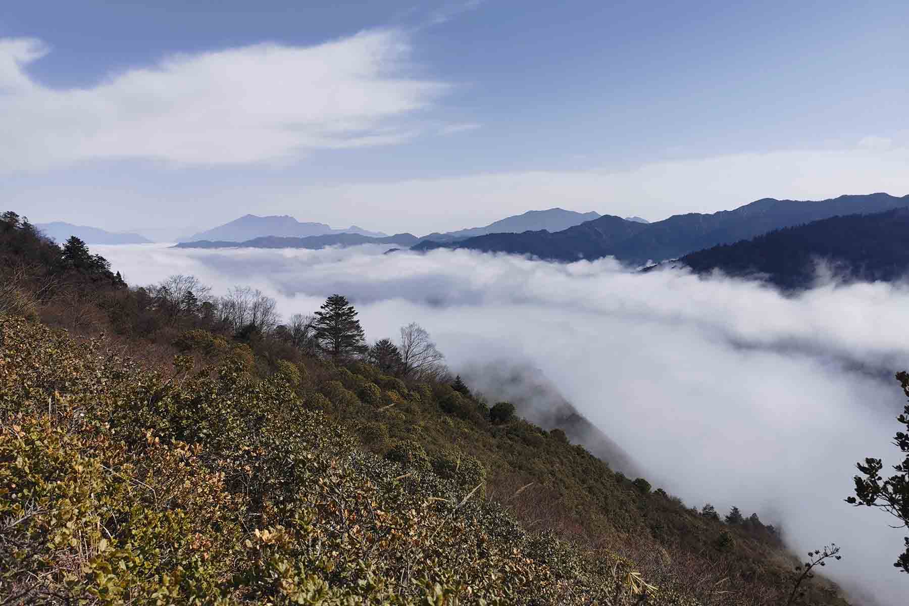 Wolong Nature Reserve