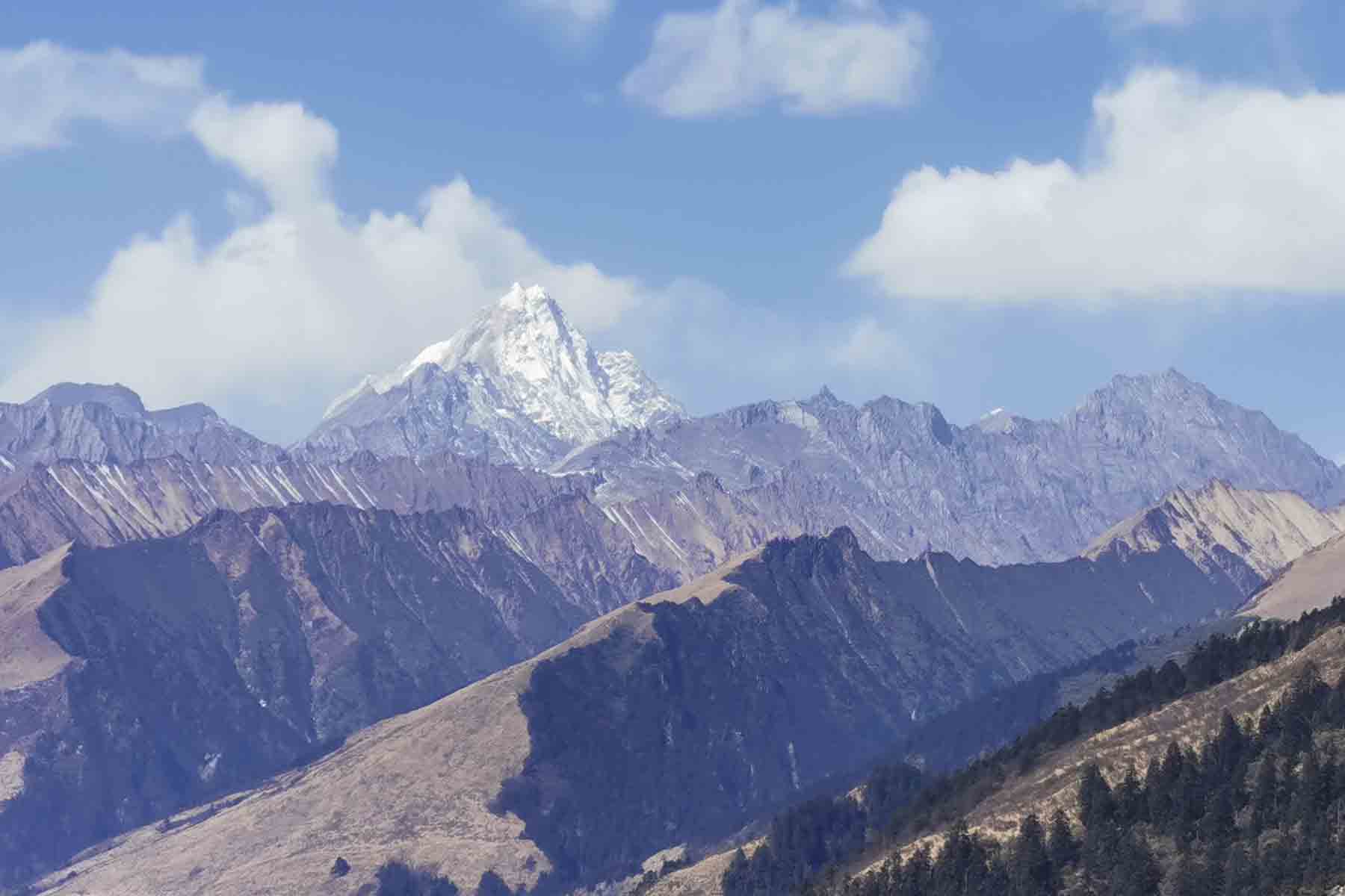 Wolong Nature Reserve